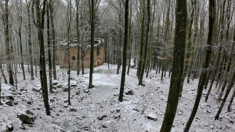 Image 5