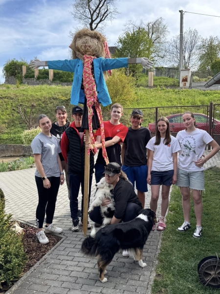 Image 14