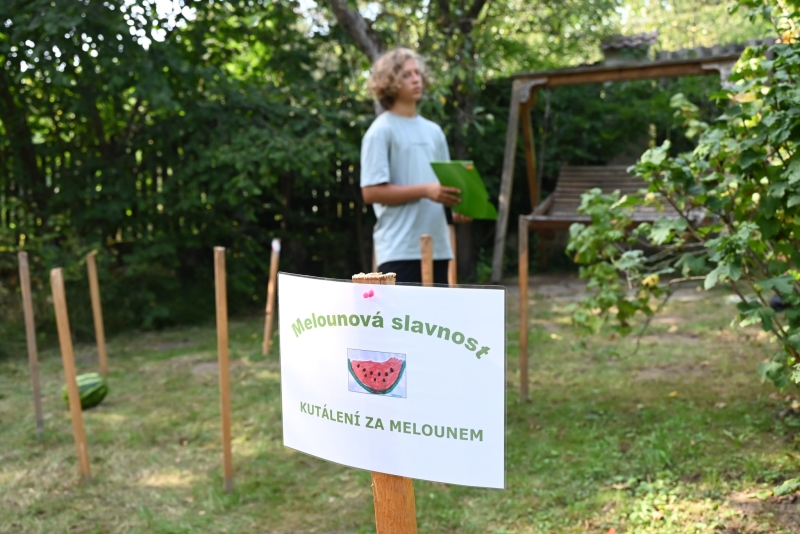 Image 11