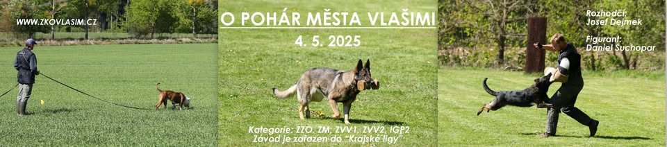 O pohár města Vlašimi